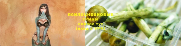 не бодяженный Алексин