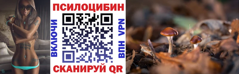магазин продажи наркотиков Пустошка Галлюциногенные грибы ЛСД